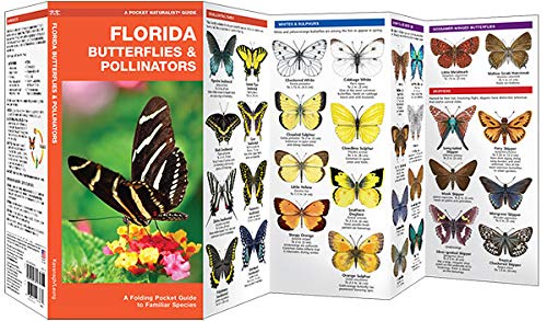 Florida Butterflies & Pollinators Pocket Guide