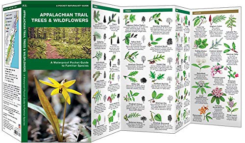Appalachian Scenic Trail Trees & Wildflowers, Waterproof Pocket Guide