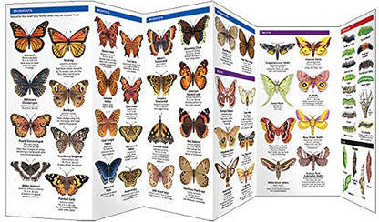 Great Lakes Butterflies & Moths Pocket Guide