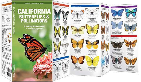 California Butterflies & Pollinators Pocket Guide