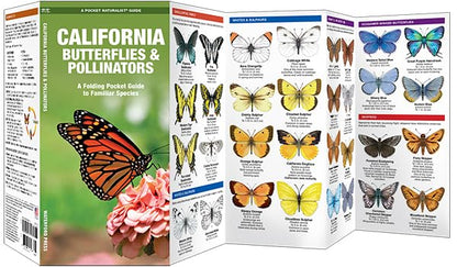 California Butterflies & Pollinators Pocket Guide