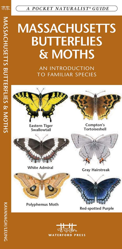 Massachusetts Butterflies & Moths Pocket Guide