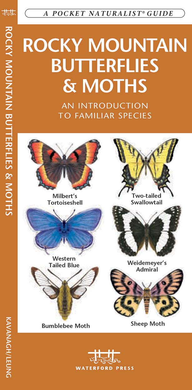 Rocky Mountain Butterflies & Moths Pocket Guide