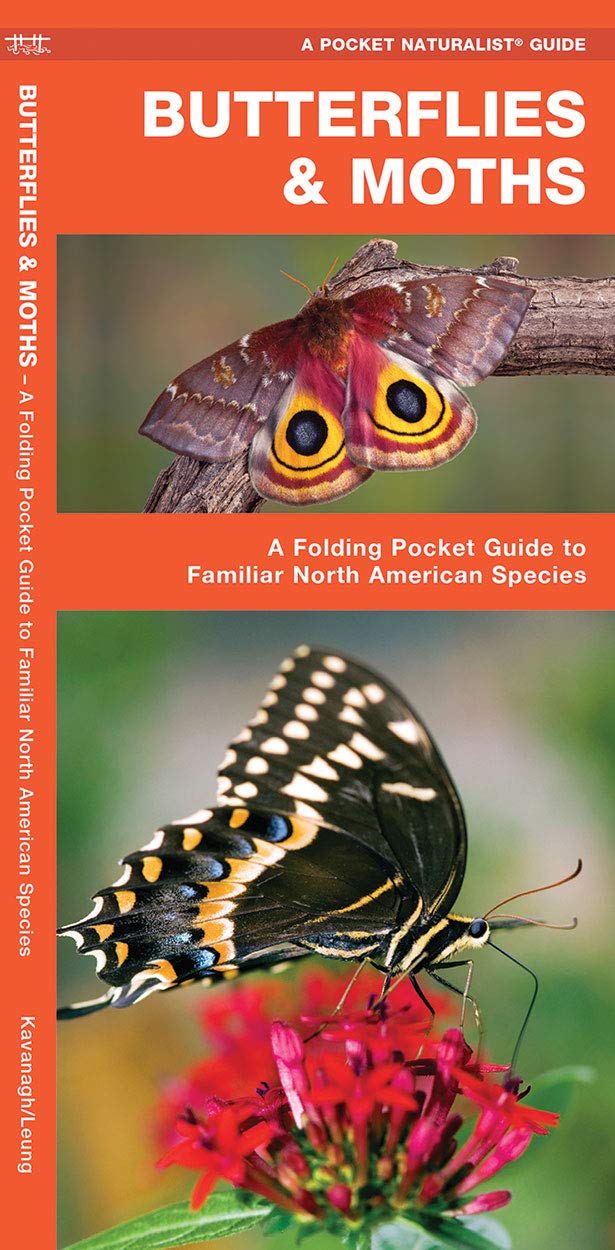 Butterflies & Moths Pocket Guide