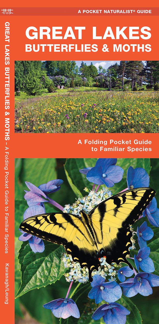 Great Lakes Butterflies & Moths Pocket Guide