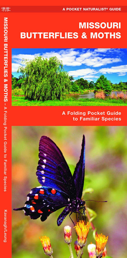 Missouri Butterflies & Moths Pocket Guide
