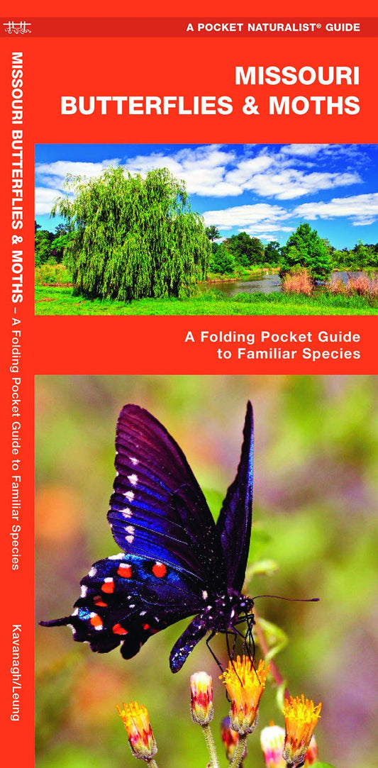 Missouri Butterflies & Moths Pocket Guide