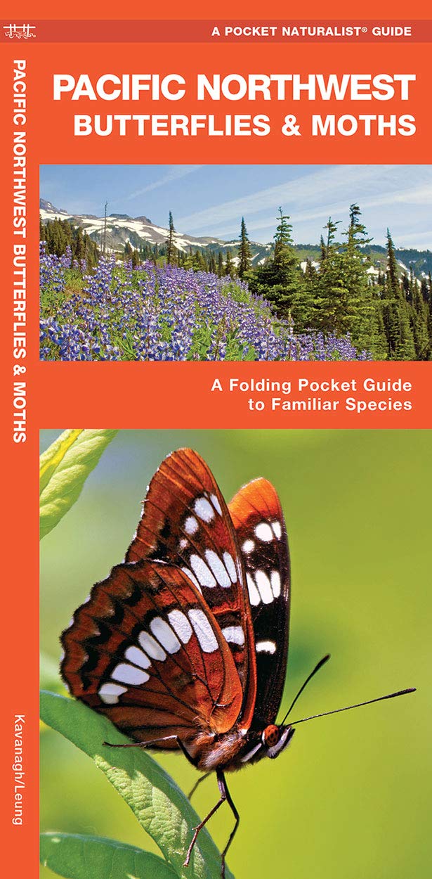 Pacific Northwest Butterflies & Moths Pocket Guide