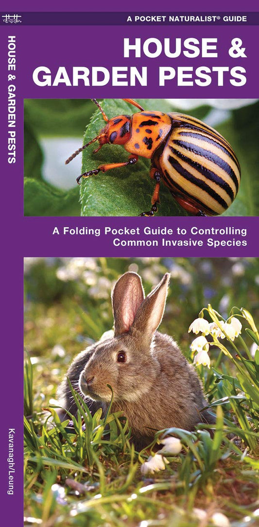 House & Garden Pests Pocket Guide