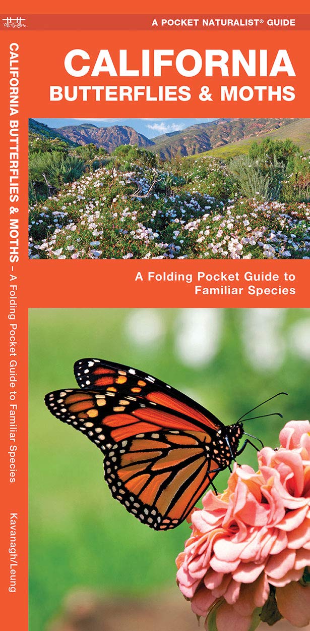 California Butterflies & Moths Pocket Guide