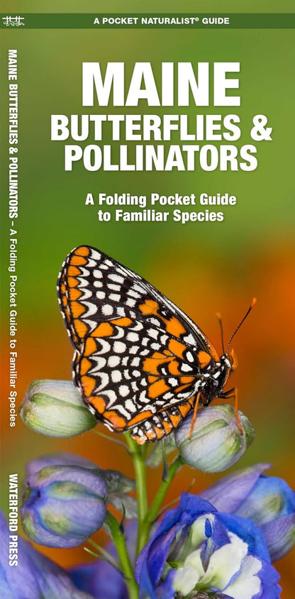 Maine Butterflies & Moths Pocket Guide