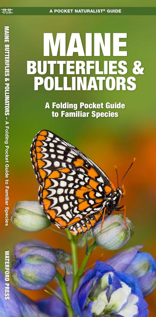 Maine Butterflies & Moths Pocket Guide