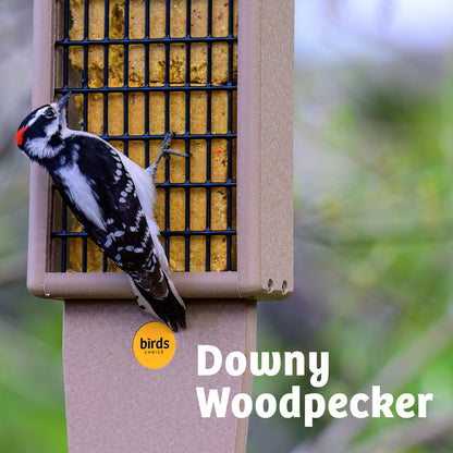 Suet Feeder with Tail Prop for Two Cakes in Taupe and Green Recycled Plastic