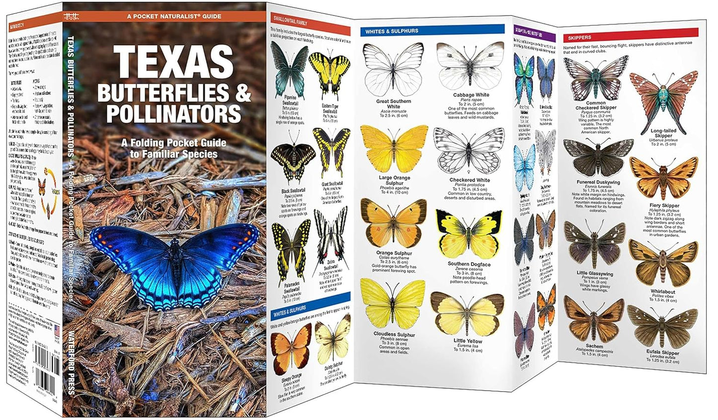 Texas Butterflies & Pollinators Pocket Guide
