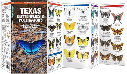 Texas Butterflies & Pollinators Pocket Guide