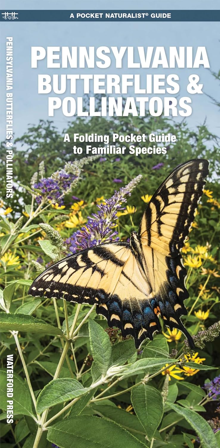Pennsylvania Butterflies & Pollinators Pocket Guide – Backyard Nature ...