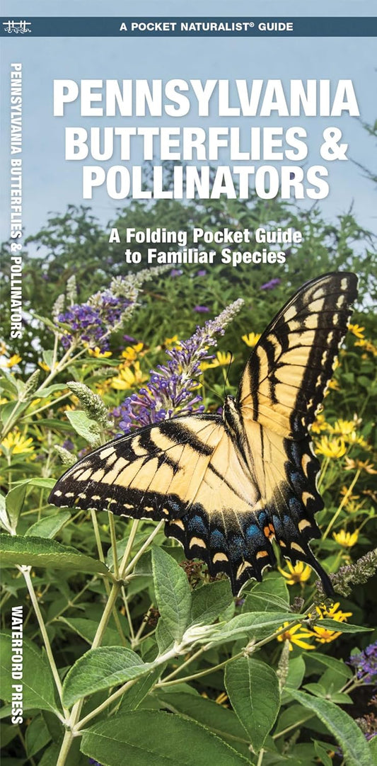 Pennsylvania Butterflies & Pollinators Pocket Guide
