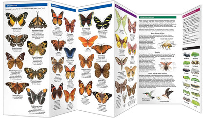 Texas Butterflies & Pollinators Pocket Guide