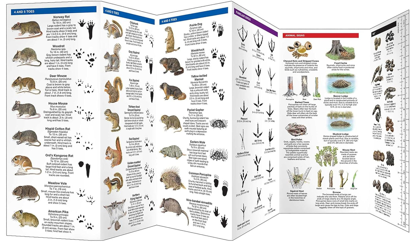 Animal Tracking Pocket Guide