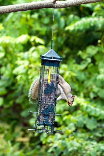 Brome Squirrel Solution 200 Squirrel Proof Feeder