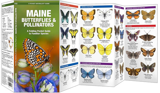 Maine Butterflies & Moths Pocket Guide