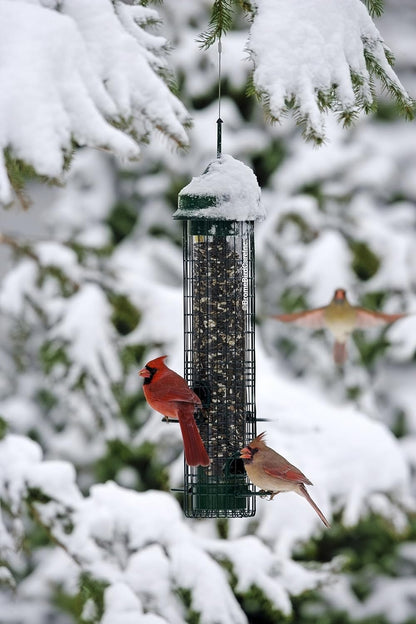 Brome Squirrel Buster Classic Squirrel-proof Bird Feeder