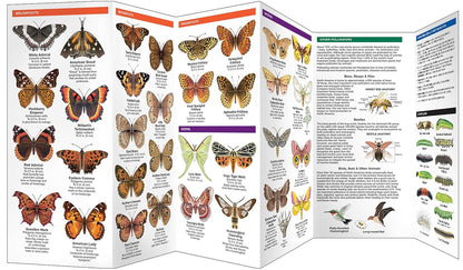 Michigan Butterflies & Pollinators Pocket Guide