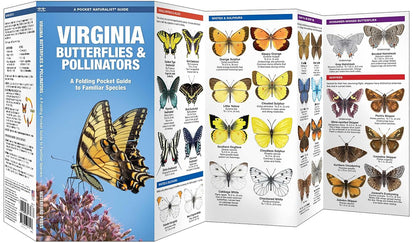 Virginia Butterflies & Pollinators Pocket Guide