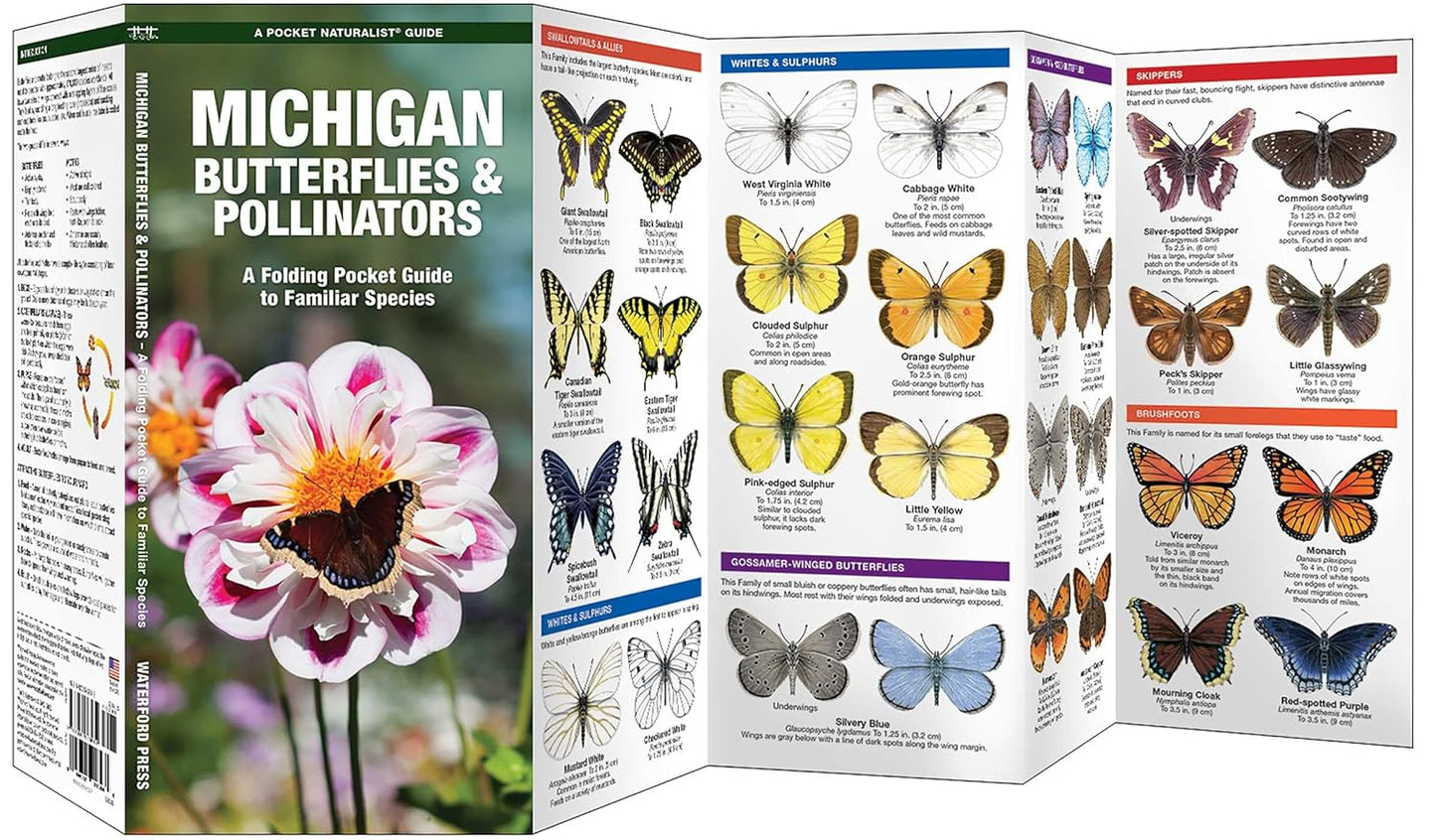 Michigan Butterflies & Pollinators Pocket Guide
