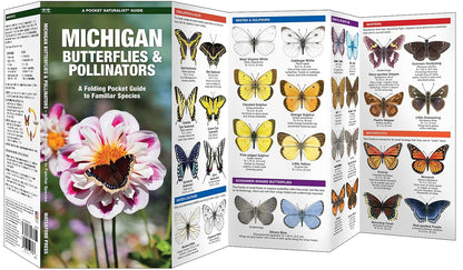 Michigan Butterflies & Pollinators Pocket Guide