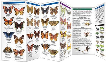 Pennsylvania Butterflies & Pollinators Pocket Guide