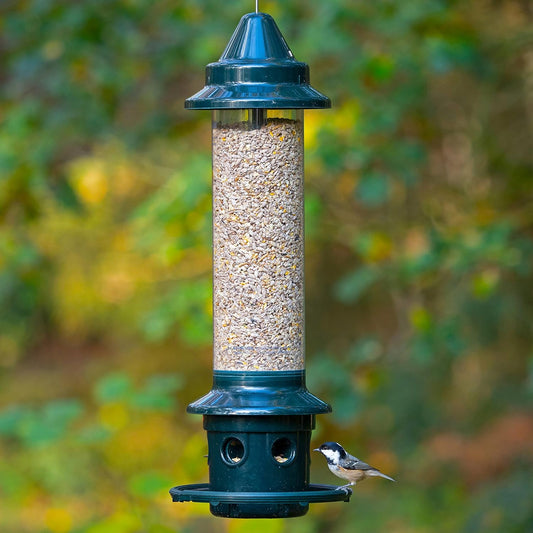 Brome Squirrel Buster Plus Squirrel-proof Bird Feeder w/Cardinal Ring