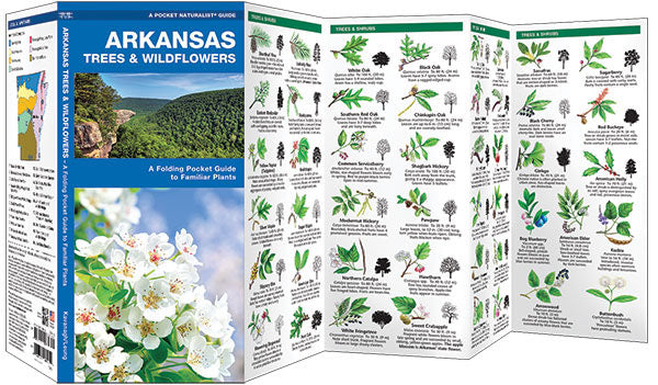 Arkansas Trees & Wildflowers Pocket Guide