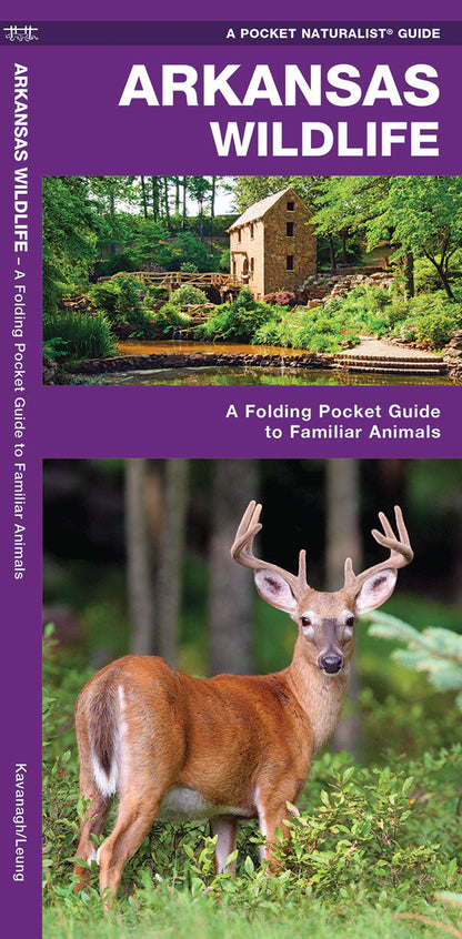 Arkansas Wildlife Pocket Guide