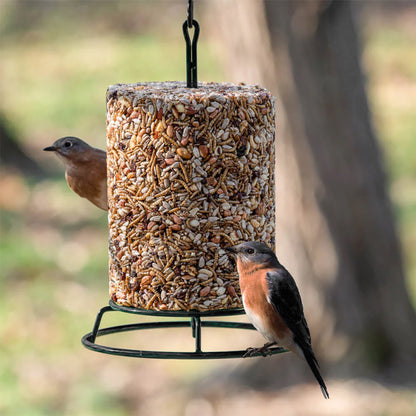 Seed Cylinder Feeder