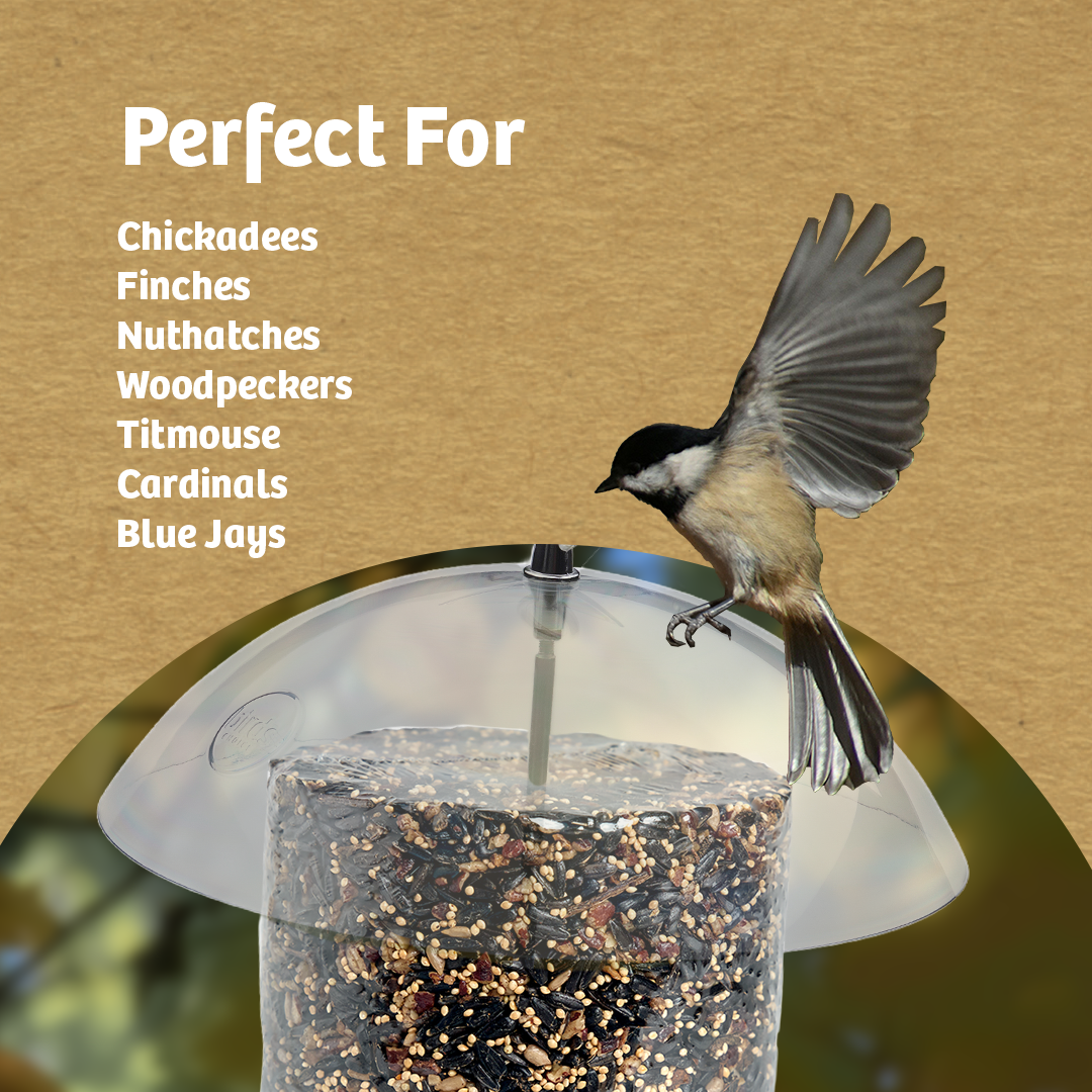Recycled Plastic Seed Cylinder Feeder