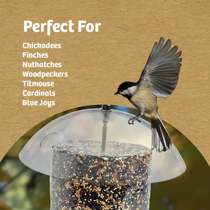 Recycled Plastic Seed Cylinder Feeder
