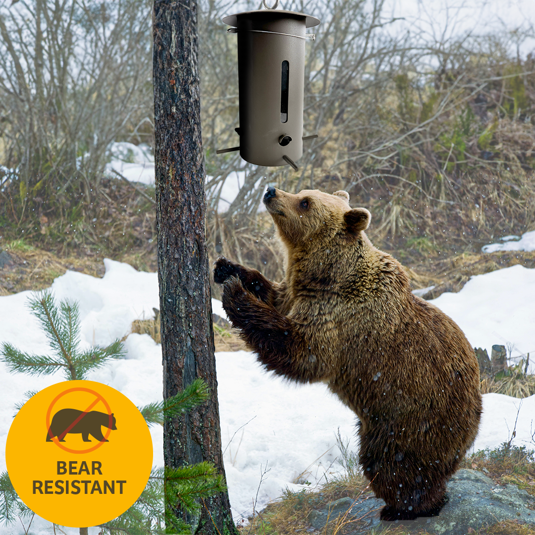 Bear Proof Bird Feeder in Brown