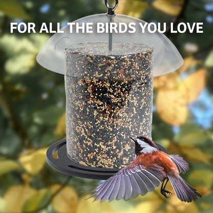 Recycled Plastic Seed Cylinder Feeder