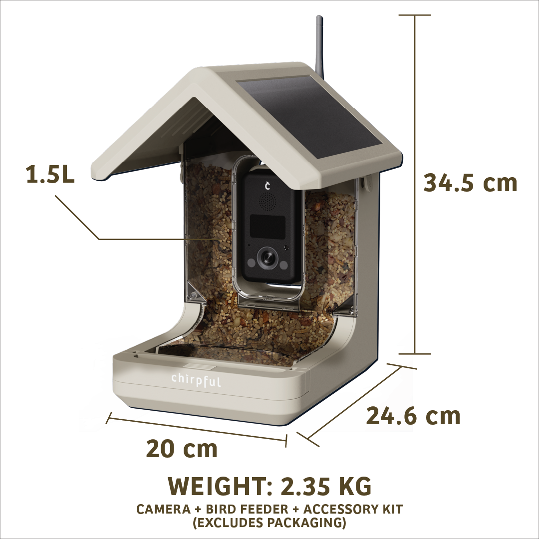 Chirpful Smart Feeder - 4k Camera | Solar-Powered | AI-Driven
