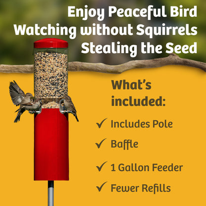 Squirrel Proof Classic Bird Feeder with Pole and Squirrel Baffle