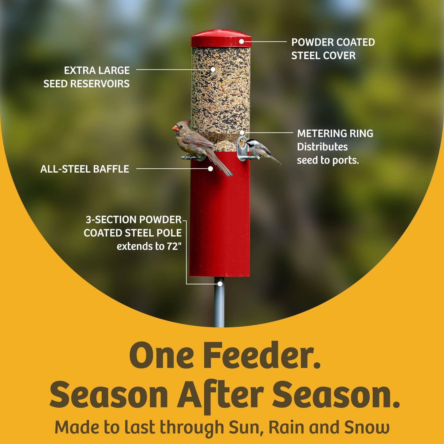 Squirrel Proof Classic Bird Feeder with Pole and Squirrel Baffle