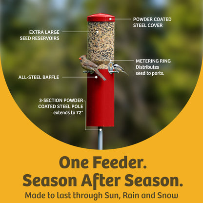 Squirrel Proof Classic Bird Feeder with Pole and Squirrel Baffle