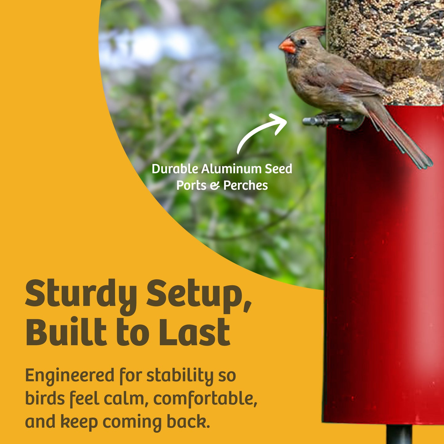 Squirrel Proof Classic Bird Feeder with Pole and Squirrel Baffle