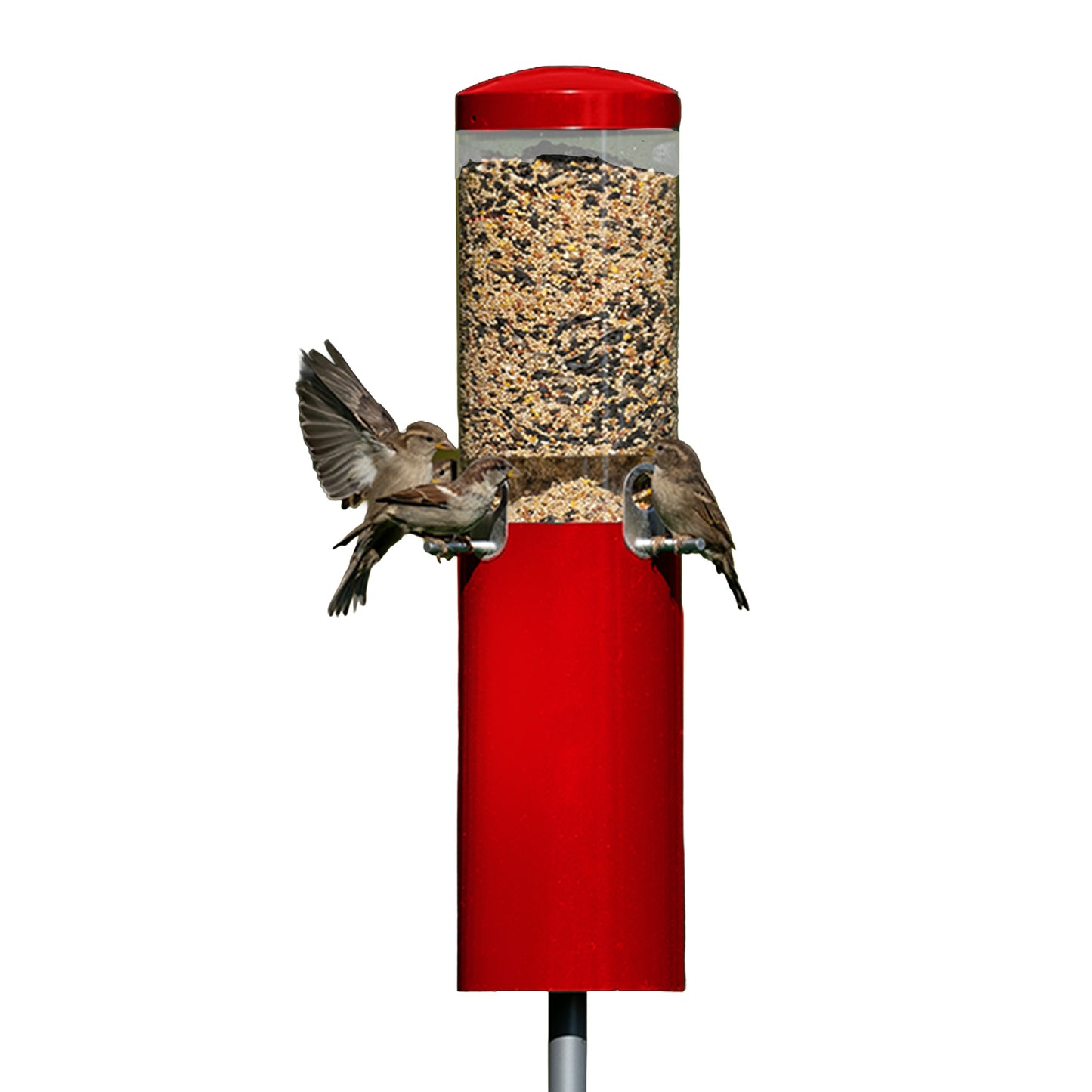Squirrel Proof Classic Bird Feeder with Pole and Squirrel Baffle