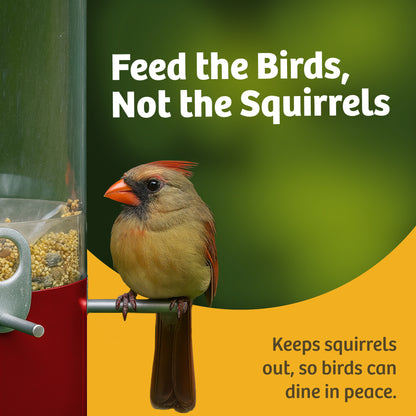 Squirrel Proof Classic Bird Feeder with Pole and Squirrel Baffle