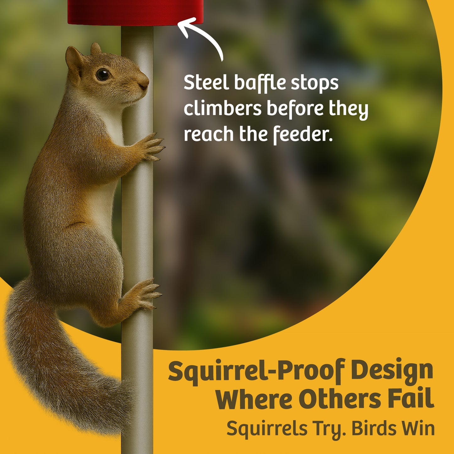 Squirrel Proof Classic Bird Feeder with Pole and Squirrel Baffle