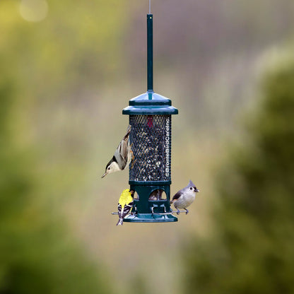 Brome Squirrel Buster Standard Squirrel-proof Bird Feeder