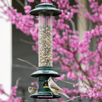 Brome Squirrel Buster Evolution Squirrel-Proof Bird Feeder