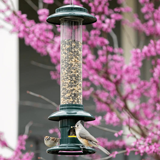 Brome Squirrel Buster Evolution Squirrel-Proof Bird Feeder